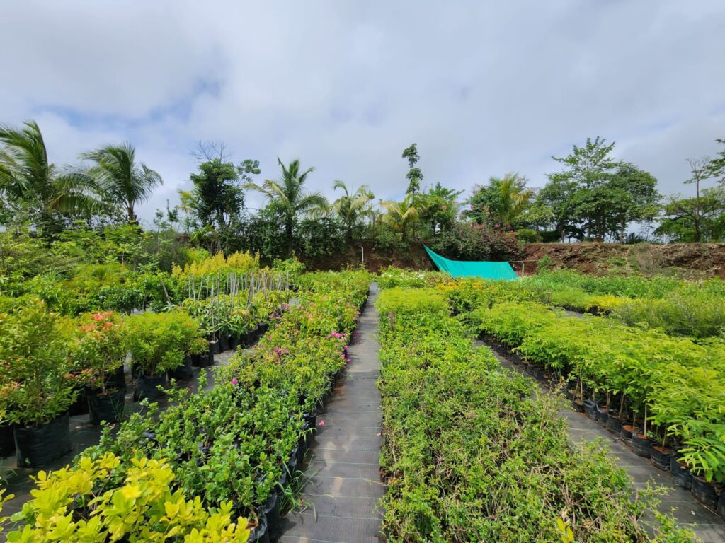 GG Resort - Nursery